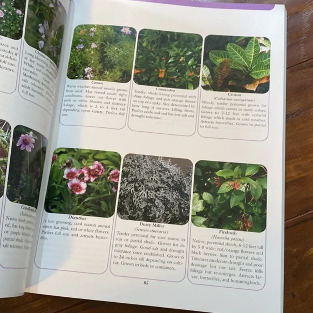 Autographed SIGNED Gardening Landscaping Central Florida Mary Bell